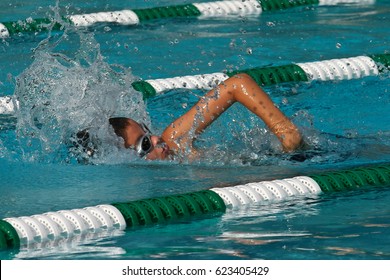 Young Boy Swimmer Swimming Freestyle Stroke In A Swim Meet