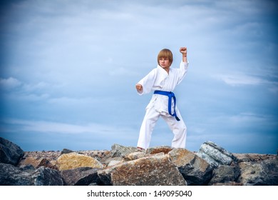 Young boy training karate  - Powered by Shutterstock