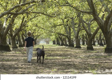 Young Boy Walking Through The Woods With His Dog