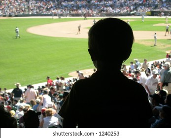 Young Boy Watching A Baseball Game.