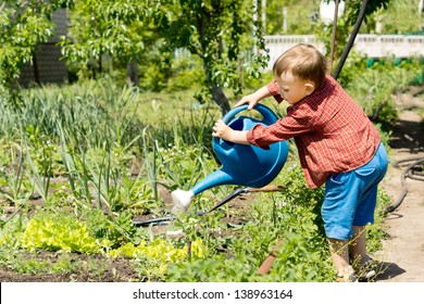 Young boy watering rows of vegetables in the family vegetable garden using a large blue plastic watering can