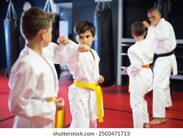 Young boys training in pair to use karate technique during class