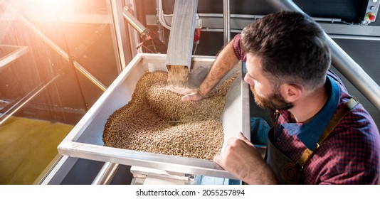 A young brewer in a leather apron controls the grinding of malt seeds in a mill at a modern brewery - Powered by Shutterstock