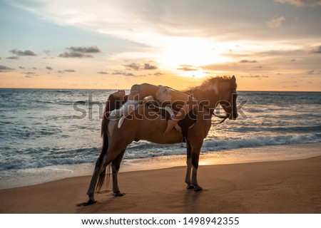 Young brunette beauty having fun with horse and riding on the  tropical beach