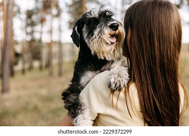 Young brunette woman holding in arms a miniature schnauzer breed dog - Shutterstock ID 2229372299