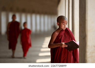 Young Buddhist monk walking and reading.  