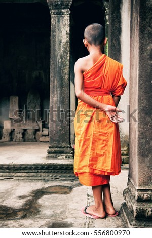 Young Buddhist monks