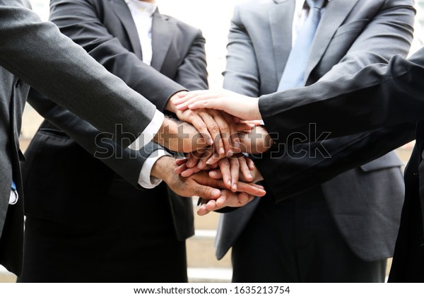 Young Business Partner Handshake Concept Stock Photo (Edit Now) 1635213754