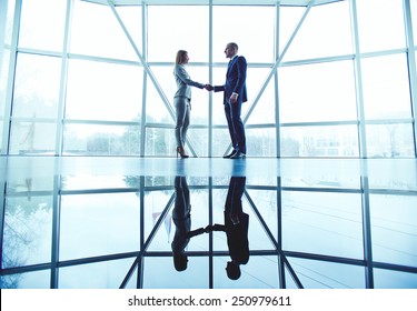 Young business partners handshaking after making agreement