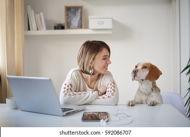 Young Business Woman At Home Office Smiles At Her Dog While Sitting