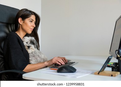 Young Business Woman Working with her Dog in Home Office.Dog in the Office 