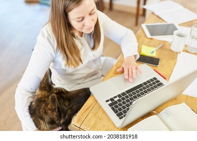 Young Business Woman Working On Laptop Computer In Home Office With German Shepherd As Pet