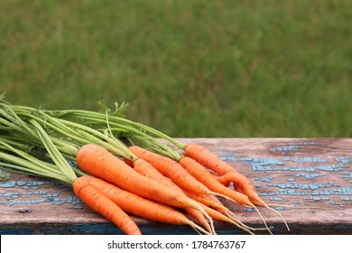 young carrots with green tops on an old wooden background