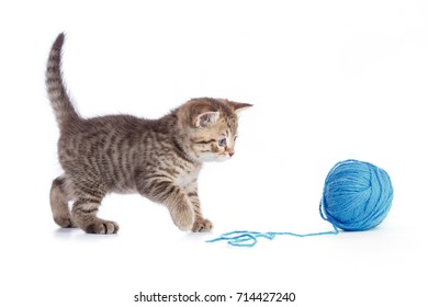 24,480 Cat playing with ball Images, Stock Photos & Vectors | Shutterstock