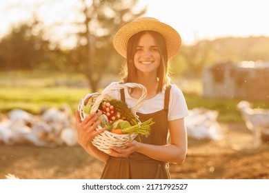 Young Caucasian beautiful female farmer in straw hat holding basket with fresh organic vegetables at sunset. Vegetarian, raw healthy food. Healthy lifestyle. Ecological farm and agriculture business - Powered by Shutterstock