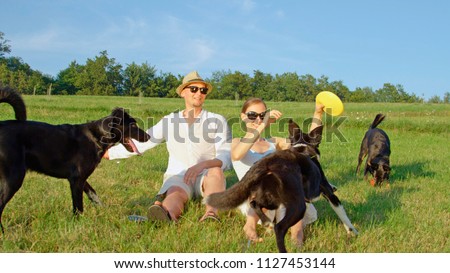 Young Caucasian couple plays with their three frisky border collies in the sunny spring nature. Adorable shot of cheerful boyfriend and girlfriend enjoying the summertime with their cute black puppies