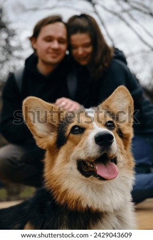 A young Caucasian couple sitting on a wooden bridge in the park, smiling at each other with their dog welsh corgi pembroke. They look happy and relaxed in casual clothes. The dog's face in close-up