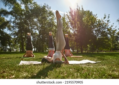 Young caucasian female trainer teaching people how practicing yoga in supported shoulder stand pose in sunny park. Sportive persons on fitness mats on green lawn. Concept of healthy lifestyle - Powered by Shutterstock