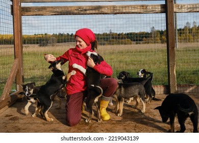 Young Caucasian female volunteer at dog kennel. Woman came to animal shelter to choose puppy friend. Concept of adoption of abandoned pets. Black and white Alaskan husky puppies. - Powered by Shutterstock