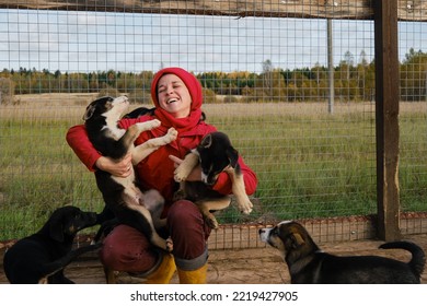 Young Caucasian Female Volunteer At Dog Kennel. Woman Came To Animal Shelter To Choose Puppy Friend. Concept Of Adoption Of Abandoned Pets. Cuddle And Nurse A Litter Of Alaskan Huskies.