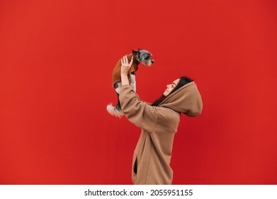 Young caucasian female wearing a hoodie is lifting her dog in her arms up, looking at her cute yorkie, standing on an isolated red background.