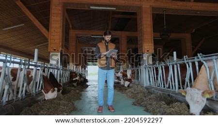 Young caucasian man in orange vest using tabletPC and working in farm. Male farmer tapping and scrolling on table computer in shed. Cowshed barn interior, stall, cowhouse.