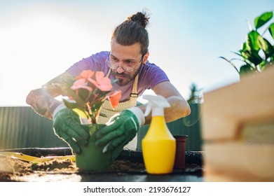 18,208 Eyeglasses flowers Images, Stock Photos & Vectors | Shutterstock