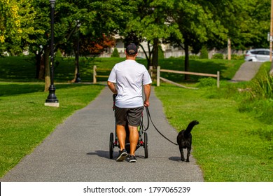 A young caucasian man wearing baseball hat, t shirt and shorts is strolling in the park while walking his dog. He also takes his kid outside with the stroller he is pushing on the asphalt path. - Powered by Shutterstock