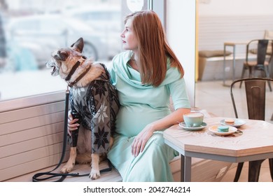 Young Caucasian Pregnant Women Is Sitting In Cafe With Her Dog In Sweater And Looking Into The Window.