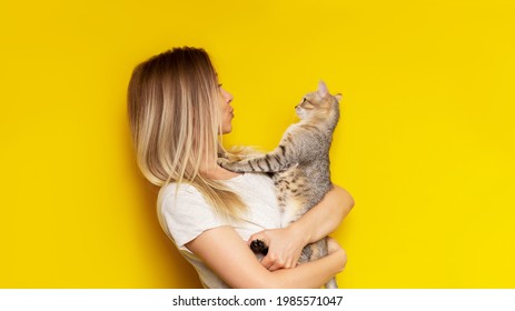 A young caucasian pretty cute blonde woman holds a tabby cat in her hands admiring it isolated on a bright color yellow background. The girl babying with a kitten. Fiendship of pet and owner. Banner