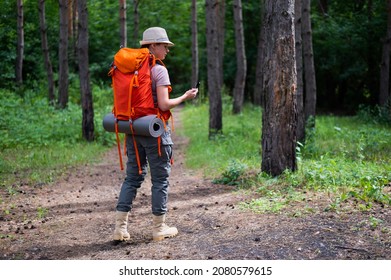 Young Caucasian Woman Is Hiking And Using A Compass In The Forest.