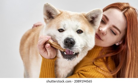 Young Caucasian Woman Holding Bone In Mouth Of Shiba Inu Dog. Concept Of Relationship Between Human And Animal. Idea Of Pet Care. Furry Dog Looking At Camera. Isolated On White Background In Studio