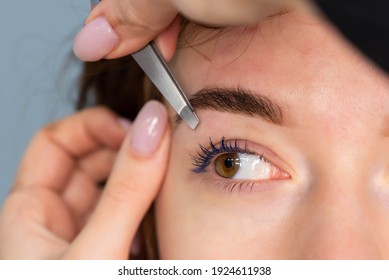 Young Caucasian Woman On The Brow Beauty Procedures. Professional Care For Face. Brows Coloring, Wax And Lamination
