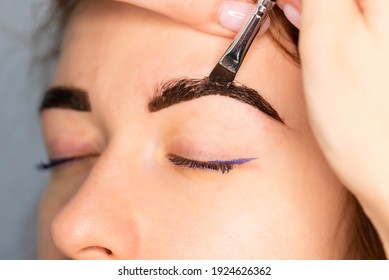 Young Caucasian Woman On The Brow Beauty Procedures. Professional Care For Face. Brows Coloring, Wax And Lamination
