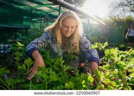 Young caucasian woman smiling while crouching by lush plants while gardening at garden center