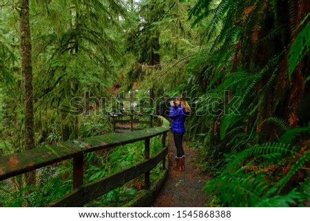 Young Caucasian woman takes pictures of beautiful moss covered trees while trekking around the lush Hoh Rainforest in Washington, USA. Female photographer taking photos of the vibrant green forest.