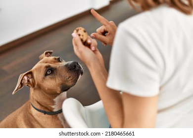 Young caucasian woman teaching dog prohibition eat cookies at home - Shutterstock ID 2180465661