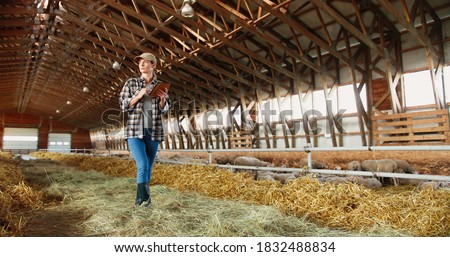 Young Caucasian woman using tablet device and walking in farm stable. Female farmer tapping and scrolling on gadget computer in shed. Technology in farming. Sheep flock on background.