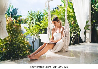 Young caucasian woman using and watching on laptop computer on hammock chair on terrace of resort hotel. Tourism, vacation and weekend. Focused beautiful girl with tattoos. Sunny day. Bali island
