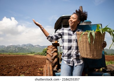 Young Charming Agricultural Woman Working Near A Tractor In Corn Field With Mountain View, Rural Profession For Young People And Agriculture Business Concept