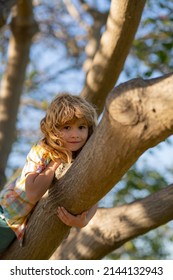 Young Child Blond Boy Climbing Tree. Happy Child Playing In The Garden Climbing On The Tree. Young Boy Playing And Climbing A Tree And Hanging Branch. Teen Boy Playing In A Park.