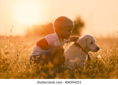 Young Child Boy Training Golden Retriever Puppy Dog Looking Right