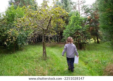 Young child on scavenger hunt in nature. High quality photo