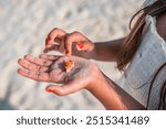 A young child playing with a hermit crab which she holds in the palm of her hand at the beach