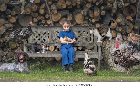 Young Child Sitting Outside With A Lot Of Pets: Baby Goose, Chickens, Cats, Turkey And A Dog. Holding A Cute Chick. Friendship, Bonding, Care. 