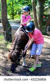 Young children enjoying horse back riding activity. Group of school age kids taking care about their pony and learning how to feed the animal. Summer camp for active holidays. 