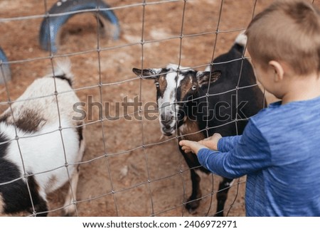 Similar – Image, Stock Photo Little baby cow feeding from milk bottle.