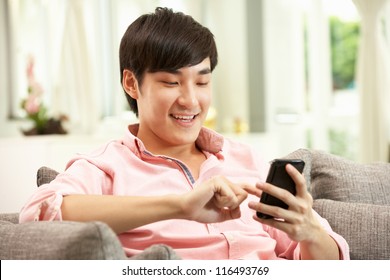 Young Chinese Man Using Mobile Phone On Sofa At Home