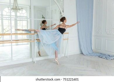 Young classical Ballet dancer side view. Beautiful graceful ballerine practice ballet positions in tutu skirt near large mirror in white light hall. Ballet class training - Shutterstock ID 751221601