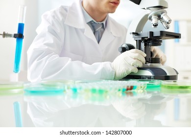 Young Clinician Looking Into Microscope In Laboratory